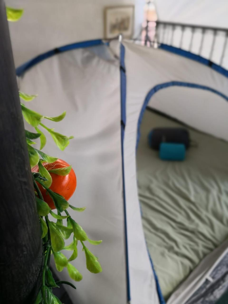 Camping & Travel Antigua Extérieur photo