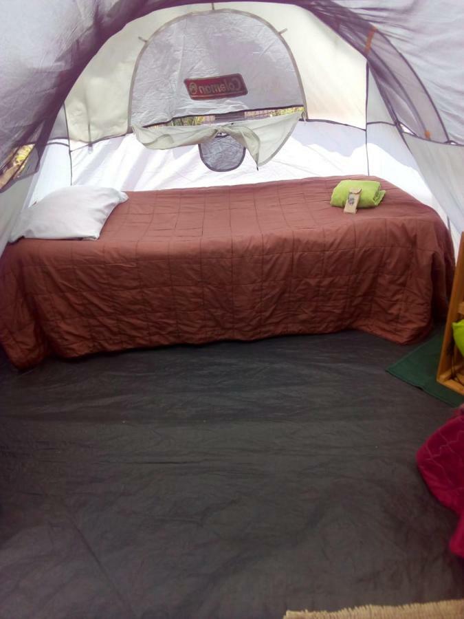 Camping & Travel Antigua Extérieur photo